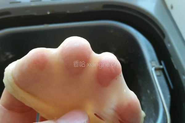 奶油汉堡胚的做法图解3