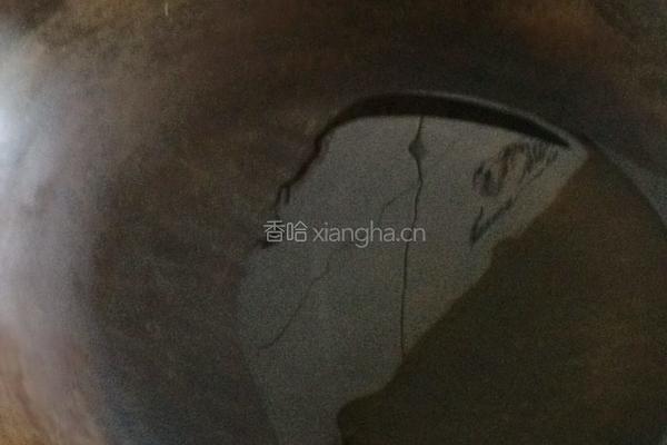 红烧深海大黄鱼的做法图解6