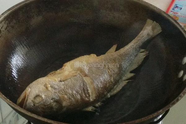 红烧深海大黄鱼的做法图解7