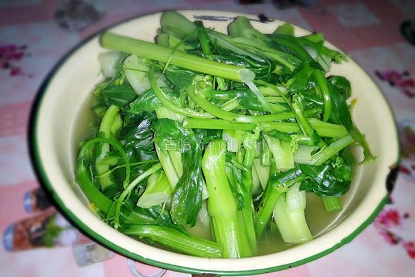 青灼菜心的做法图解5