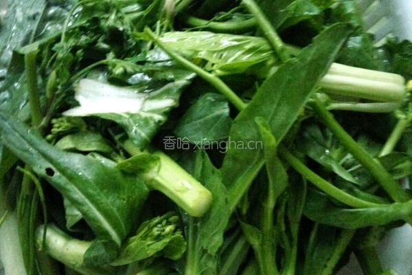 青灼菜心的做法图解1
