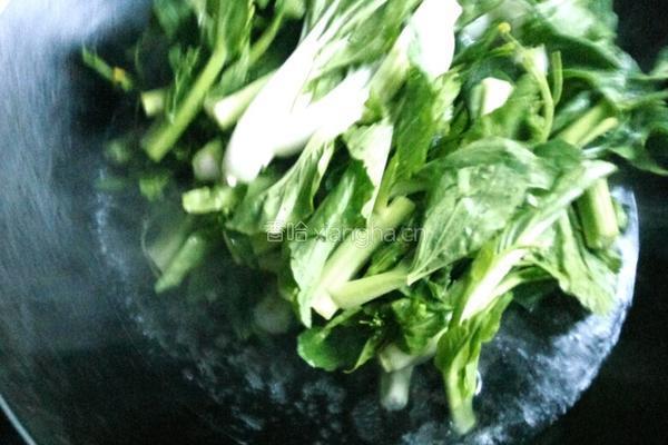青灼菜心的做法图解3