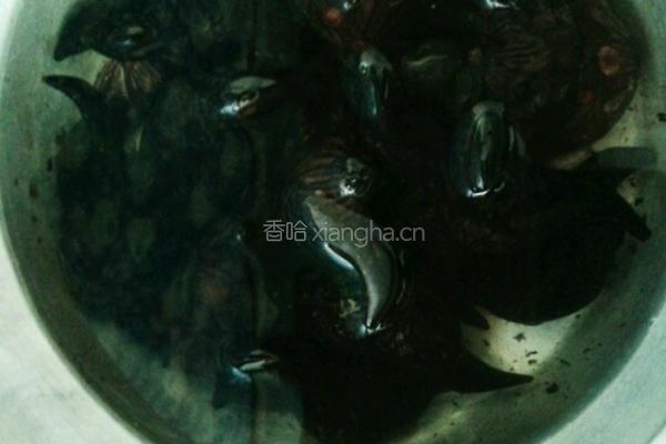 煮菱角的做法图解1