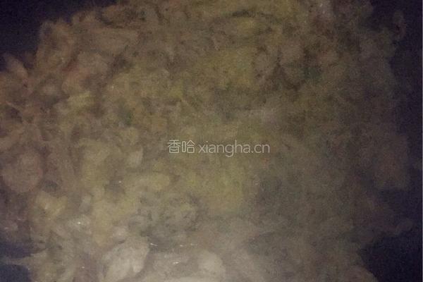 酸菜炒肉的做法图解4