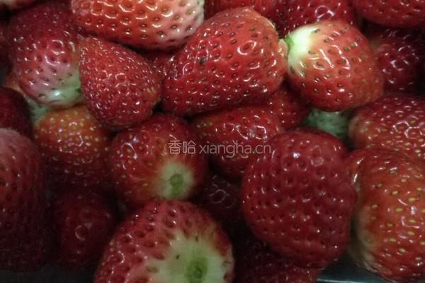 自制草莓酱的做法图解2