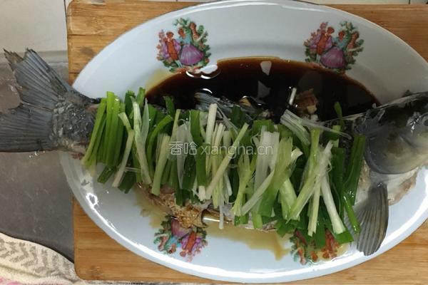 浸鱼的做法图解6
