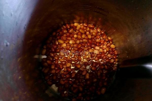 红豆红枣养颜补血豆浆的做法图解5
