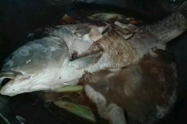 家常红烧鲤鱼的做法图解7