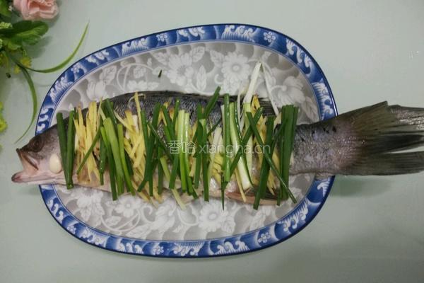 清蒸海鲈鱼的做法图解8