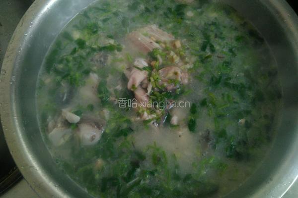 鲜鲤鱼汤的做法图解3