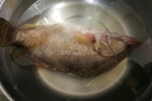 臭桂鱼的做法图解1