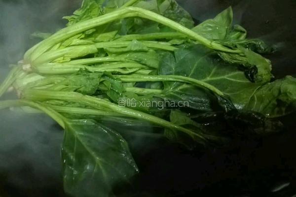 菠菜粉丝的做法图解4