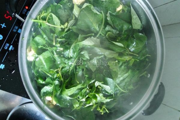 白花菜汤的做法图解6