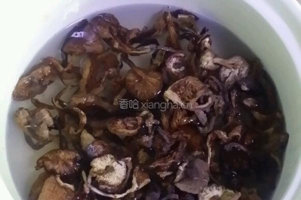 小野鸡炖蘑菇的做法图解6