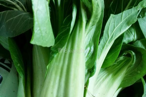 咸肉冬笋煮年糕的做法图解3