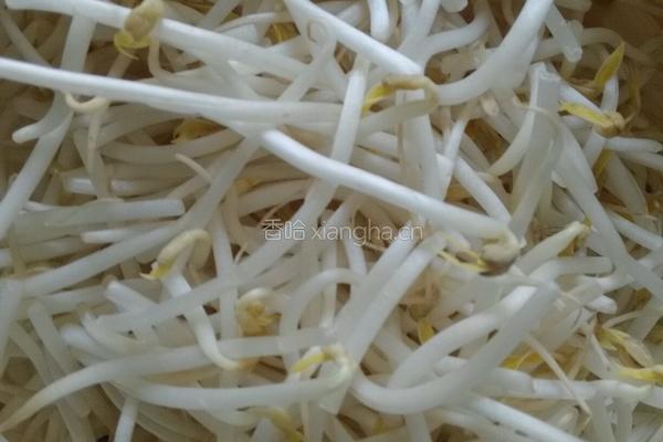 素炒掐菜的做法图解1