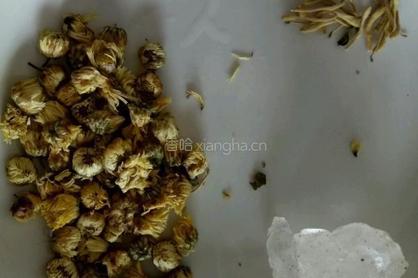 菊花粥（电高压）的做法图解1