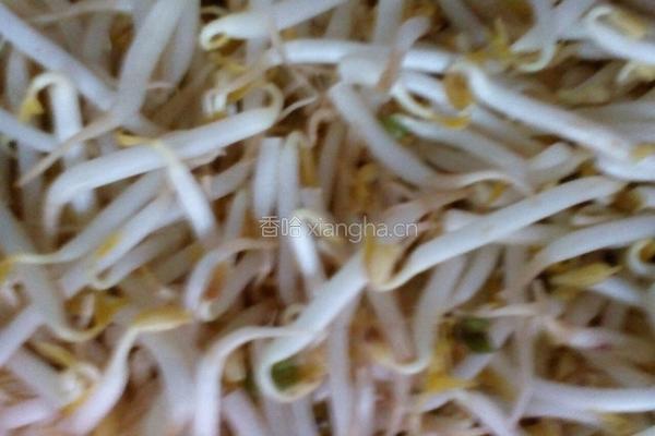 牛肉酱 热干面面的做法图解1