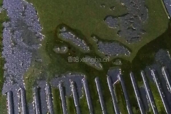 韩式烤肉的做法图解9