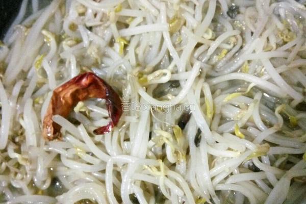 醋溜豆芽的做法图解5