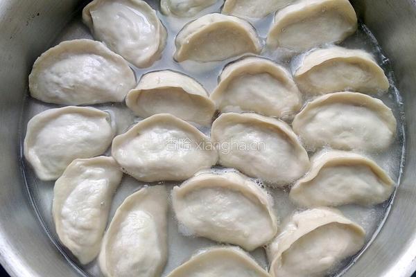 白萝卜猪肉馅水煎饺的做法图解15