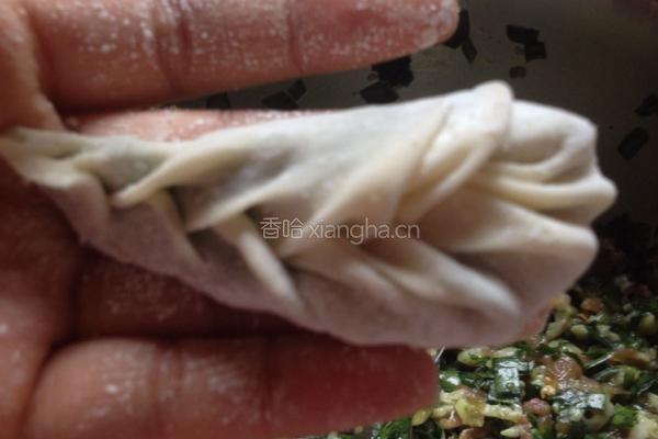 鲜虾肉饺、韭菜饺的做法图解4