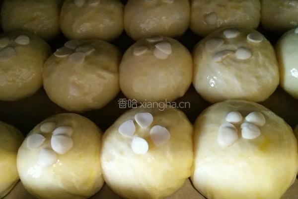 酸奶小餐包的做法图解9