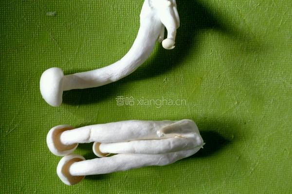 帝王鸡汤的做法图解2