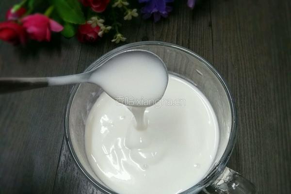 自制酸奶的做法图解8