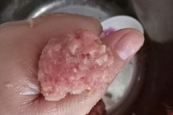 羊肉丸子萝卜汤的做法图解6