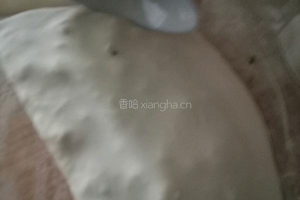 韭菜盒子的做法图解6