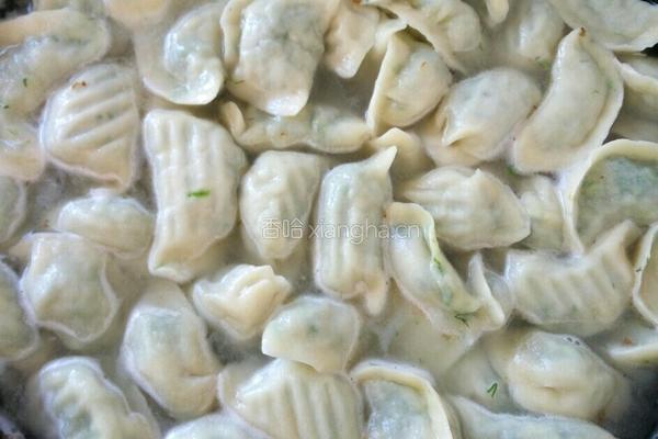 茴香鸡蛋素饺子的做法图解14