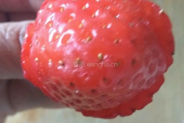 草莓花的做法图解3