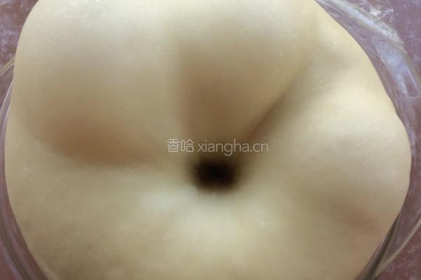 poolish（波兰种）汉堡胚的做法图解7