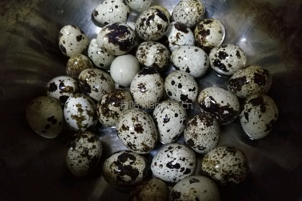 卤鹌鹑蛋的做法图解1