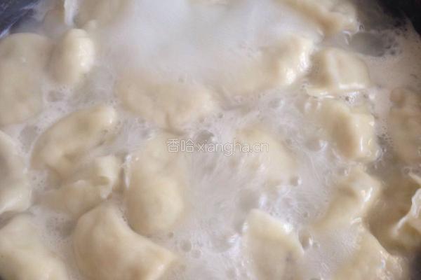 猪肉木耳白菜饺子的做法图解6