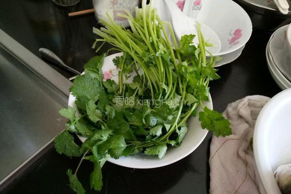 鲫鱼红烧香菜的做法图解3