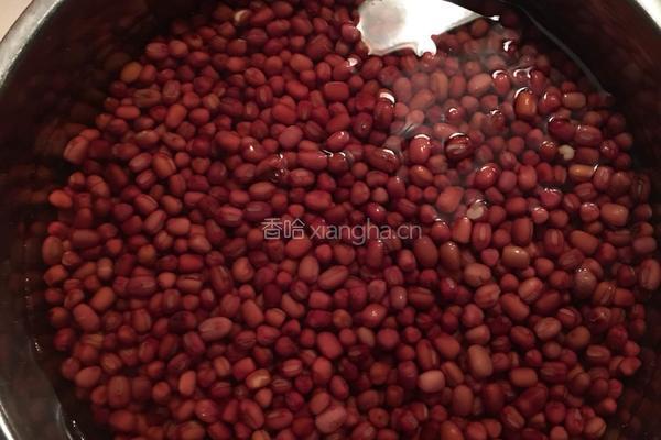 自制红豆沙馅的做法图解1