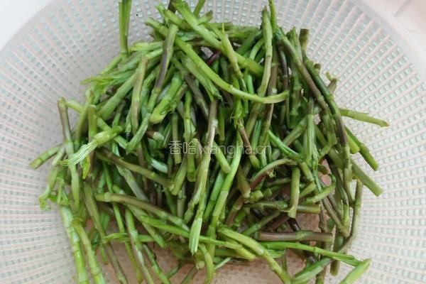 野藜蒿炒乡里腊肉的做法图解2