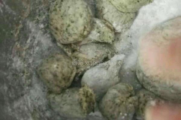 艾糍的做法图解7