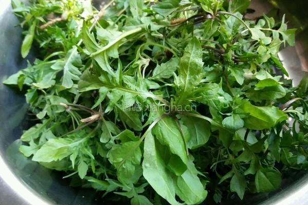 荠菜肉丸汤的做法图解1