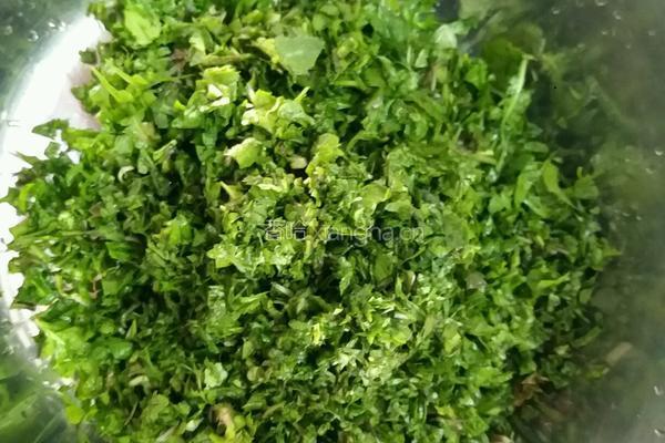 荠菜肉丸汤的做法图解4