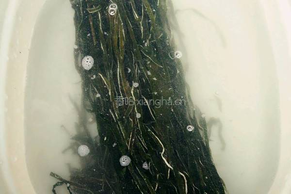 海带丝拌豆皮的做法图解1