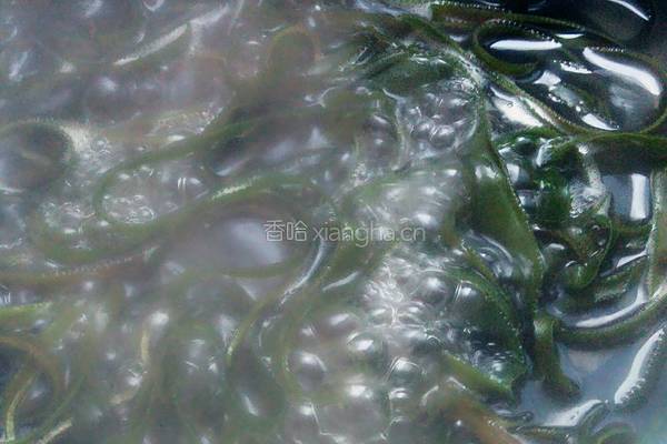 海带丝拌豆皮的做法图解5