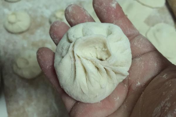 羊肉蘑菇馅包子的做法图解16