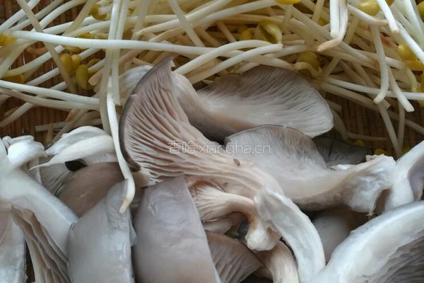 荤豆花的做法图解4
