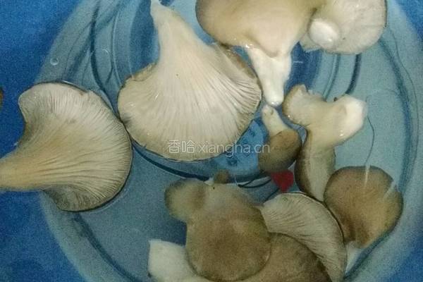 瘦身大炖菜的做法图解4