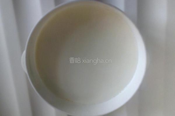 自制火龙果酸奶的做法图解3