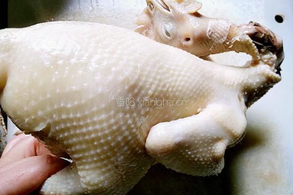 自制腌咸鸡