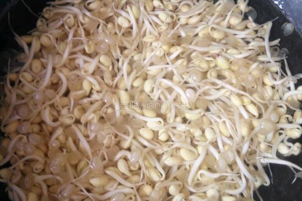 黄豆芽炒粉丝的做法图解2
